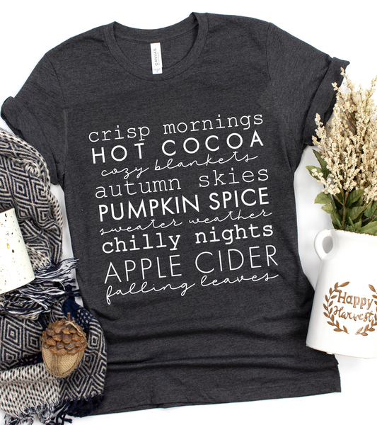 FUN FALL WORDS (BELLA CANVAS T-Shirt)